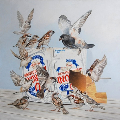Craig Platt nz bird artist, oil on canvas